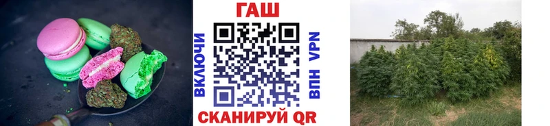 мега ТОР  маркетплейс как зайти  Cannafood марихуана  Ростов-на-Дону 
