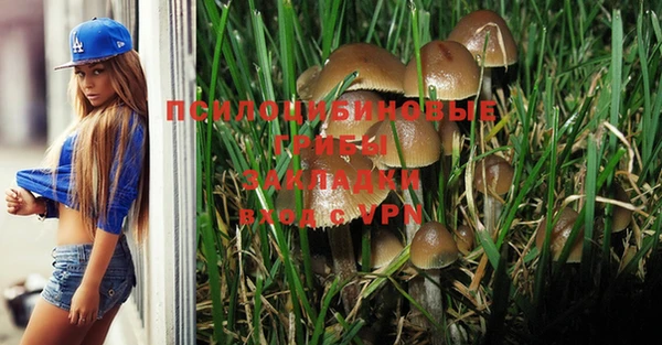 мяу мяу мука Горняк