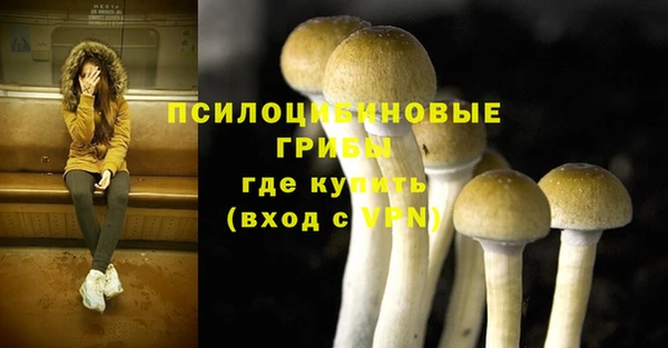 соль курить ск Горно-Алтайск