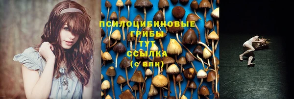дживик Гусев